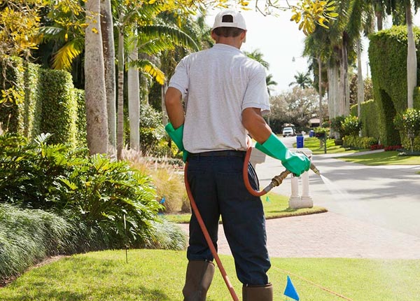 About Sunbright TN Pest Control Pros